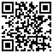 FIFA13汉化版