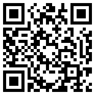 轻量版app