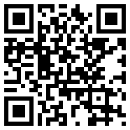 wps2007专业版