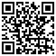 radmin3.2破解版