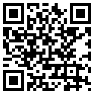 银如意
