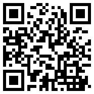 sal安装器apk