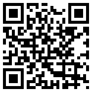 webview