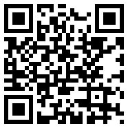91轻量版安装苹果app