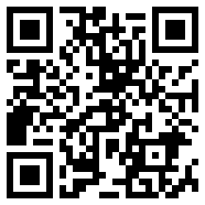 代练丸子安卓破解Web3版
