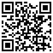 负债前行