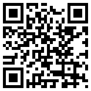 罗布乐思(国际服)安装器